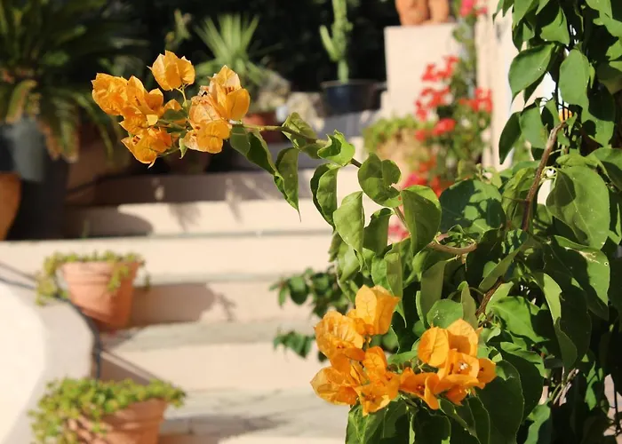 Alexandra Villa La Croix-Valmer