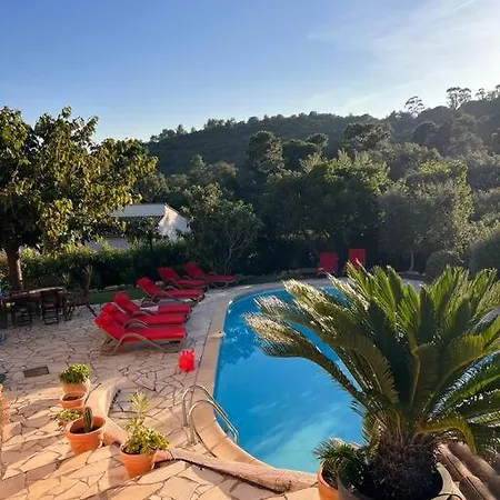 Alexandra Villa *